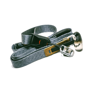 Aenean volutpat rhoncus tortor